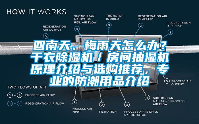 回南天、梅雨天怎么辦？干衣除濕機(jī)／房間抽濕機(jī)原理介紹與選購(gòu)?fù)扑]，專業(yè)的防潮用品介紹