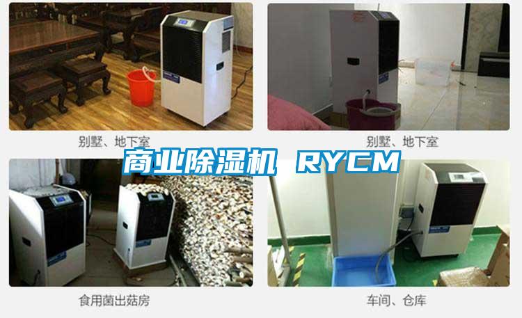 商業(yè)除濕機 RYCM