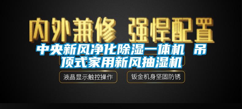 中央新風(fēng)凈化除濕一體機(jī) 吊頂式家用新風(fēng)抽濕機(jī)