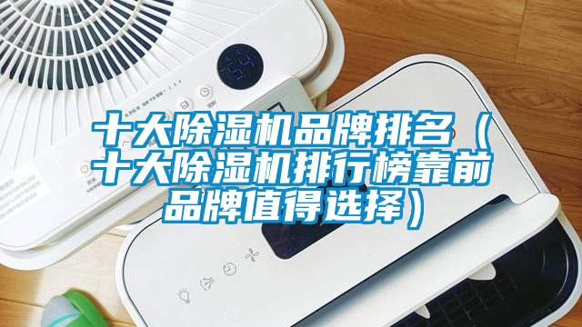 十大除濕機品牌排名（十大除濕機排行榜靠前品牌值得選擇）