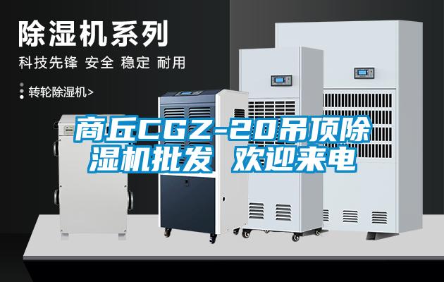 商丘CGZ-20吊頂除濕機批發(fā) 歡迎來電