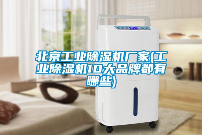 北京工業(yè)除濕機廠家(工業(yè)除濕機10大品牌都有哪些)