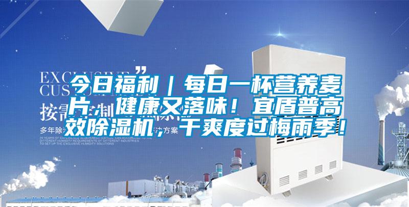 今日福利｜每日一杯營養(yǎng)麥片，健康又落味！宜盾普高效除濕機(jī)，干爽度過梅雨季！