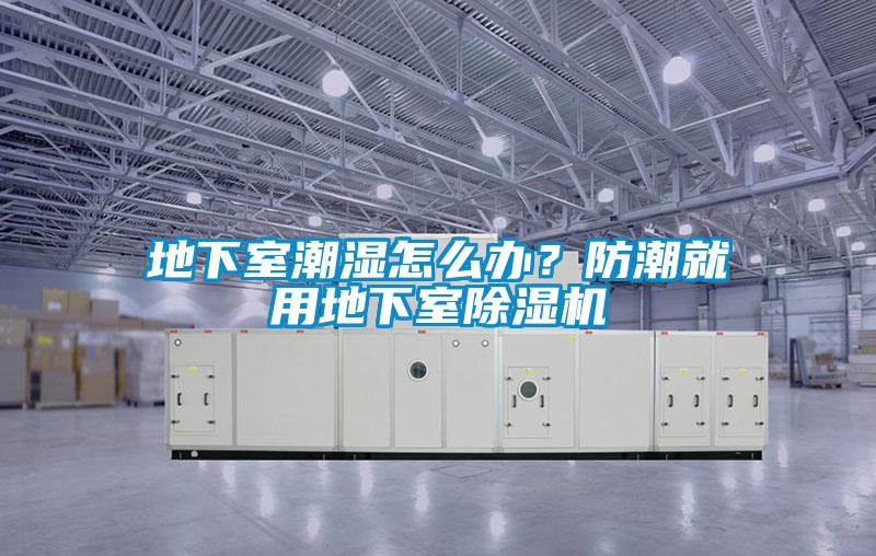 地下室潮濕怎么辦？防潮就用地下室除濕機(jī)