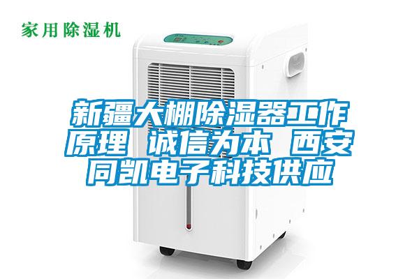 新疆大棚除濕器工作原理 誠信為本 西安同凱電子科技供應(yīng)