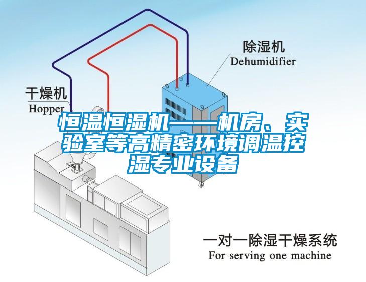 恒溫恒濕機(jī)——機(jī)房、實(shí)驗(yàn)室等高精密環(huán)境調(diào)溫控濕專業(yè)設(shè)備