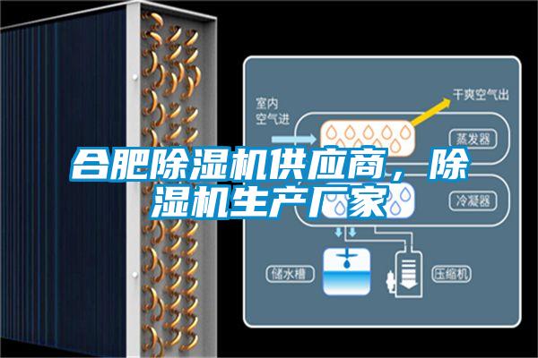 合肥除濕機(jī)供應(yīng)商，除濕機(jī)生產(chǎn)廠家