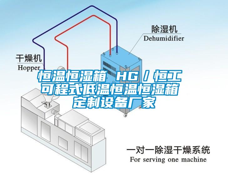 恒溫恒濕箱 HG／恒工 可程式低溫恒溫恒濕箱 定制設備廠家