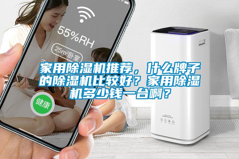 家用除濕機推薦，什么牌子的除濕機比較好？家用除濕機多少錢一臺啊？