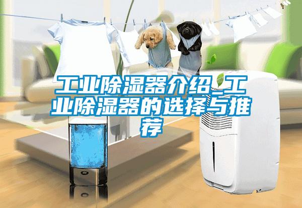 工業(yè)除濕器介紹_工業(yè)除濕器的選擇與推薦