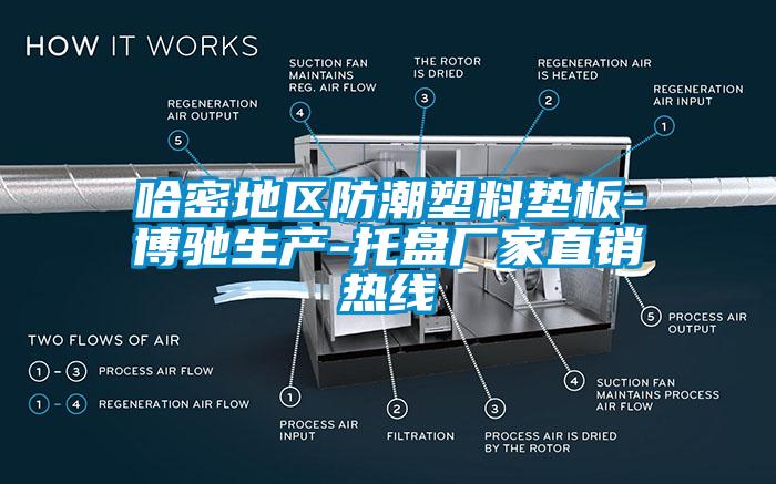 哈密地區(qū)防潮塑料墊板-博馳生產(chǎn)-托盤廠家直銷熱線