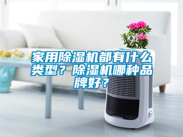 家用除濕機都有什么類型？除濕機哪種品牌好？