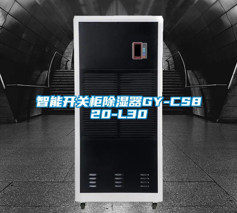 智能開(kāi)關(guān)柜除濕器GY-CS820-L30