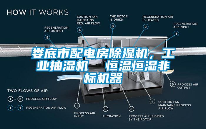 婁底市配電房除濕機(jī)，工業(yè)抽濕機(jī)  恒溫恒濕非標(biāo)機(jī)器