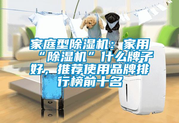 家庭型除濕機(jī)：家用“除濕機(jī)”什么牌子好，推薦使用品牌排行榜前十名