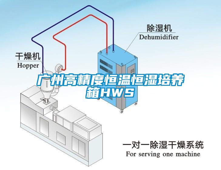 廣州高精度恒溫恒濕培養(yǎng)箱HWS