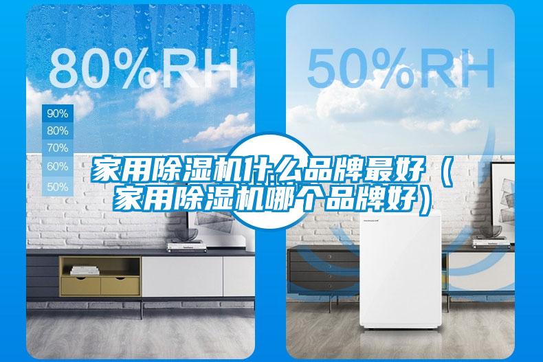 家用除濕機什么品牌最好（家用除濕機哪個品牌好）