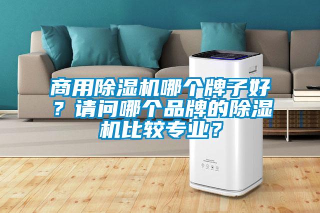 商用除濕機哪個牌子好？請問哪個品牌的除濕機比較專業(yè)？