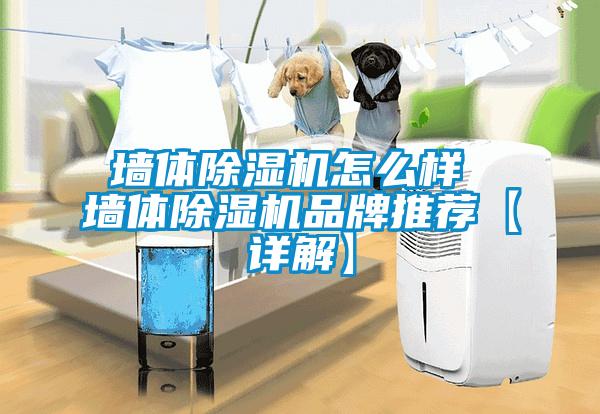 墻體除濕機(jī)怎么樣 墻體除濕機(jī)品牌推薦【詳解】