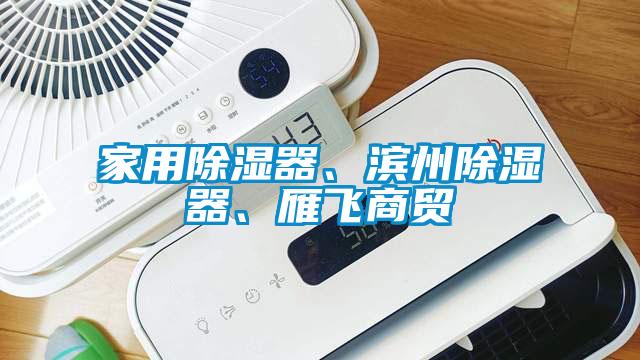 家用除濕器、濱州除濕器、雁飛商貿(mào)