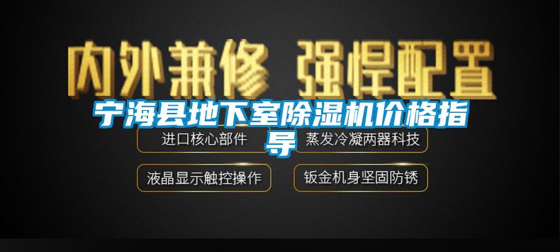 寧?？h地下室除濕機價格指導