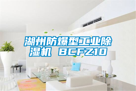 湖州防爆型工業(yè)除濕機 BCFZ10