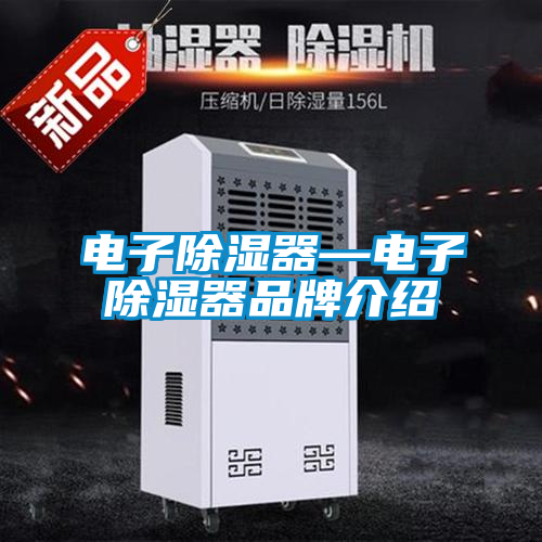 電子除濕器—電子除濕器品牌介紹