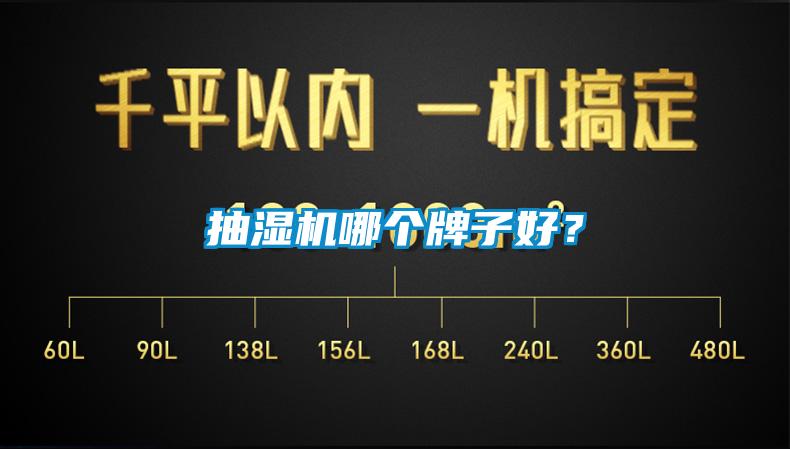 抽濕機哪個牌子好？