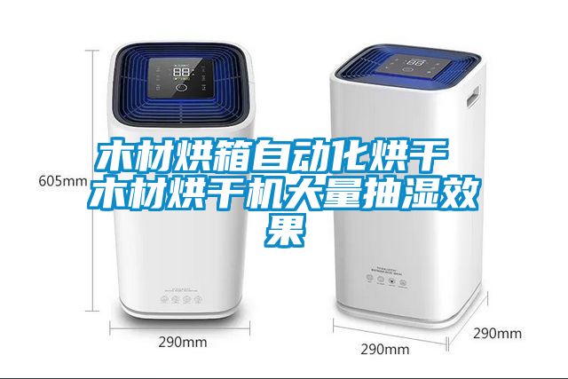 木材烘箱自動化烘干 木材烘干機大量抽濕效果