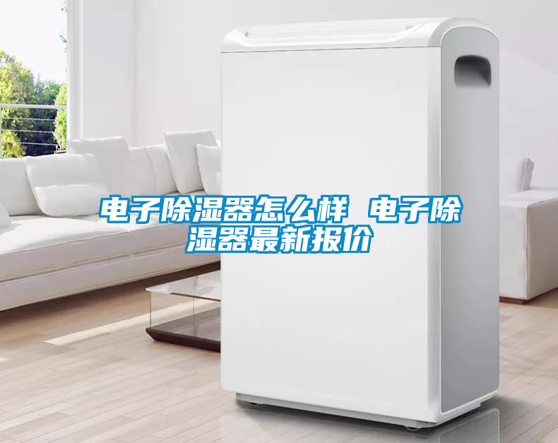 電子除濕器怎么樣 電子除濕器最新報(bào)價(jià)