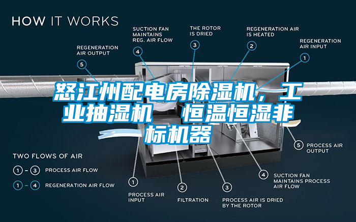 怒江州配電房除濕機(jī)，工業(yè)抽濕機(jī)  恒溫恒濕非標(biāo)機(jī)器