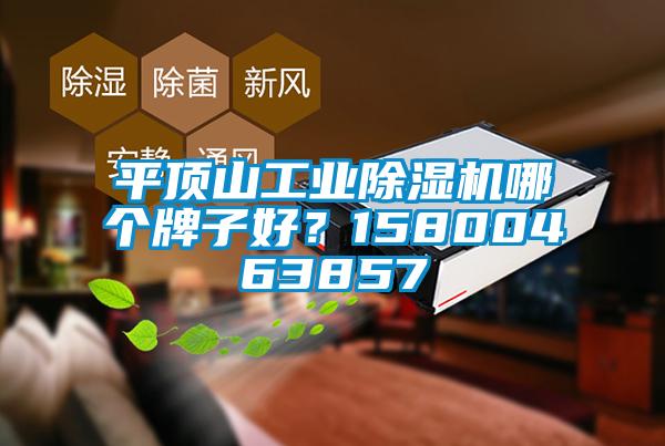 平頂山工業(yè)除濕機哪個牌子好？15800463857