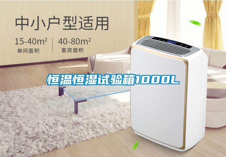 恒溫恒濕試驗(yàn)箱1000L