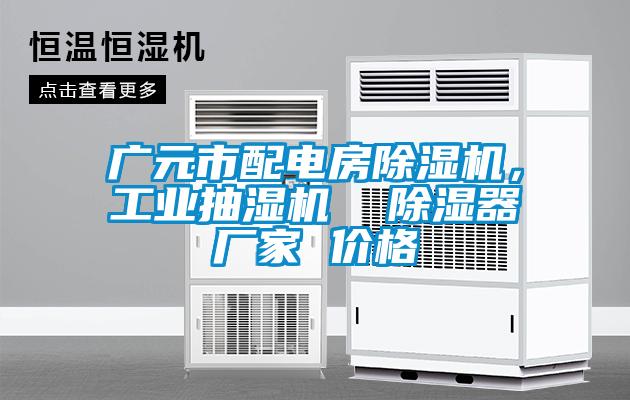 廣元市配電房除濕機(jī)，工業(yè)抽濕機(jī)  除濕器廠家 價(jià)格