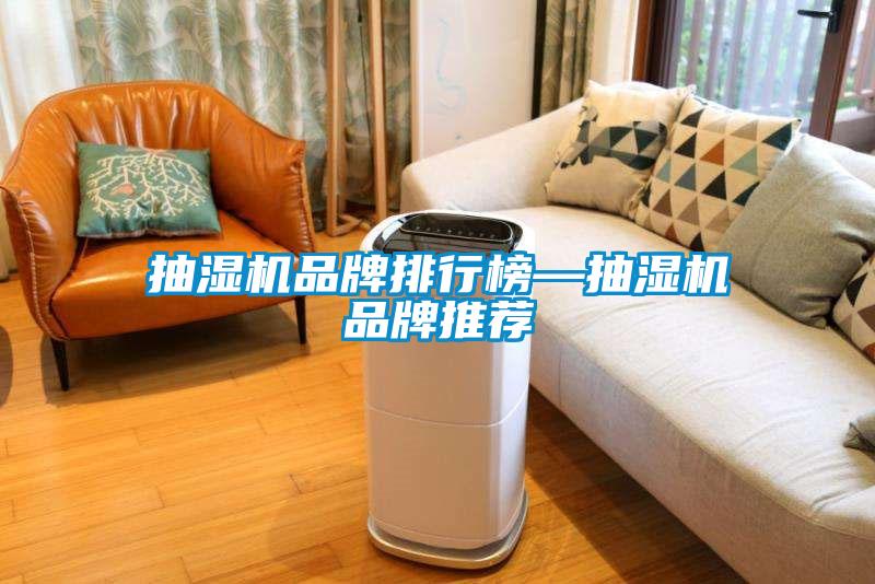 抽濕機品牌排行榜—抽濕機品牌推薦