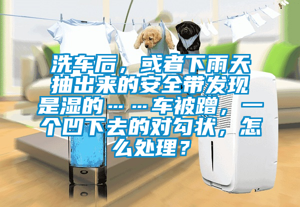 洗車后，或者下雨天抽出來的安全帶發(fā)現(xiàn)是濕的……車被蹭，一個凹下去的對勾狀，怎么處理？