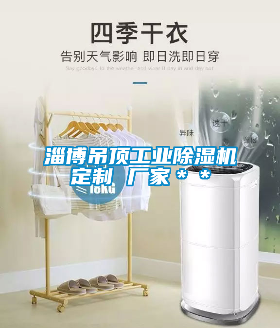 淄博吊頂工業(yè)除濕機(jī)定制 廠家＊＊