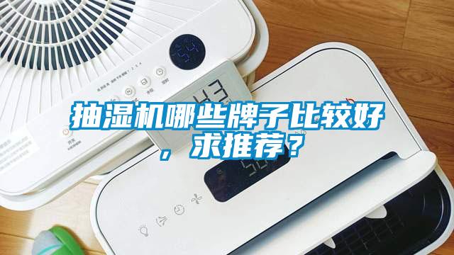 抽濕機哪些牌子比較好，求推薦？