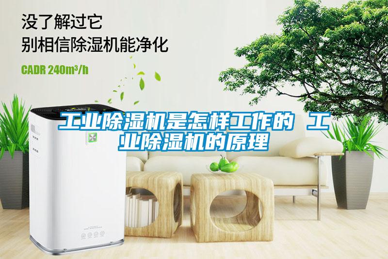 工業(yè)除濕機是怎樣工作的 工業(yè)除濕機的原理