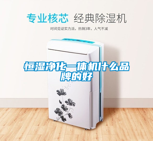 恒濕凈化一體機(jī)什么品牌的好