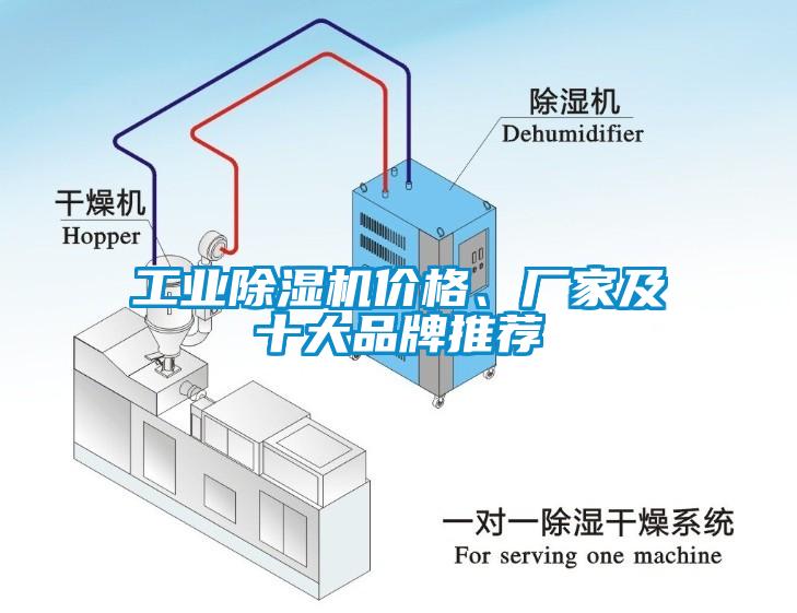 工業(yè)除濕機(jī)價(jià)格、廠家及十大品牌推薦