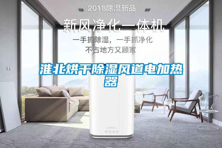 淮北烘干除濕風(fēng)道電加熱器