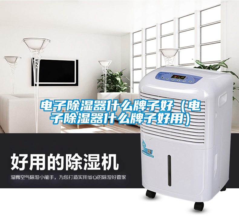 電子除濕器什么牌子好（電子除濕器什么牌子好用）