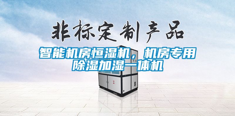 智能機(jī)房恒濕機(jī)，機(jī)房專用除濕加濕一體機(jī)