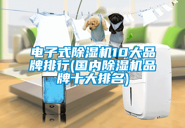 電子式除濕機(jī)10大品牌排行(國(guó)內(nèi)除濕機(jī)品牌十大排名)