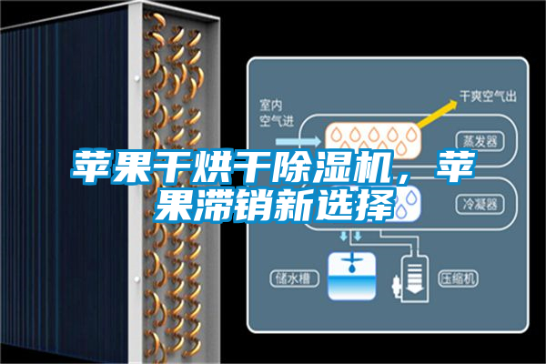 蘋果干烘干除濕機，蘋果滯銷新選擇