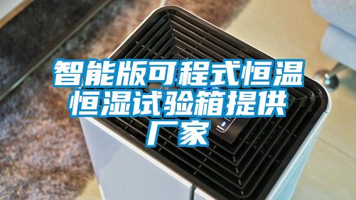 智能版可程式恒溫恒濕試驗(yàn)箱提供廠家