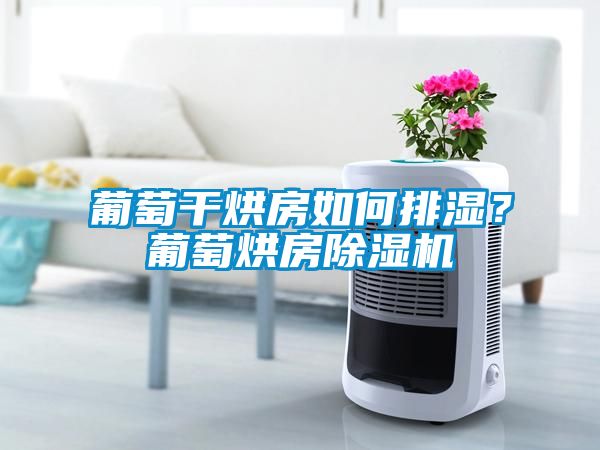 葡萄干烘房如何排濕？葡萄烘房除濕機