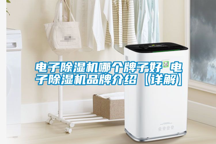 電子除濕機(jī)哪個牌子好 電子除濕機(jī)品牌介紹【詳解】