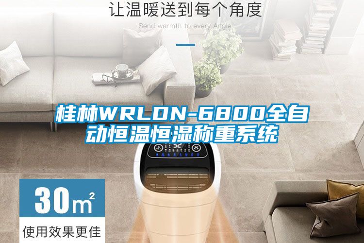 桂林WRLDN-6800全自動恒溫恒濕稱重系統(tǒng)